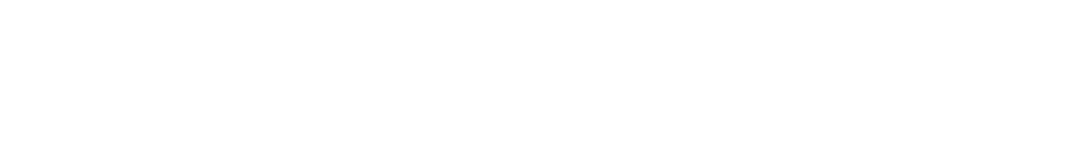 ARCFOX